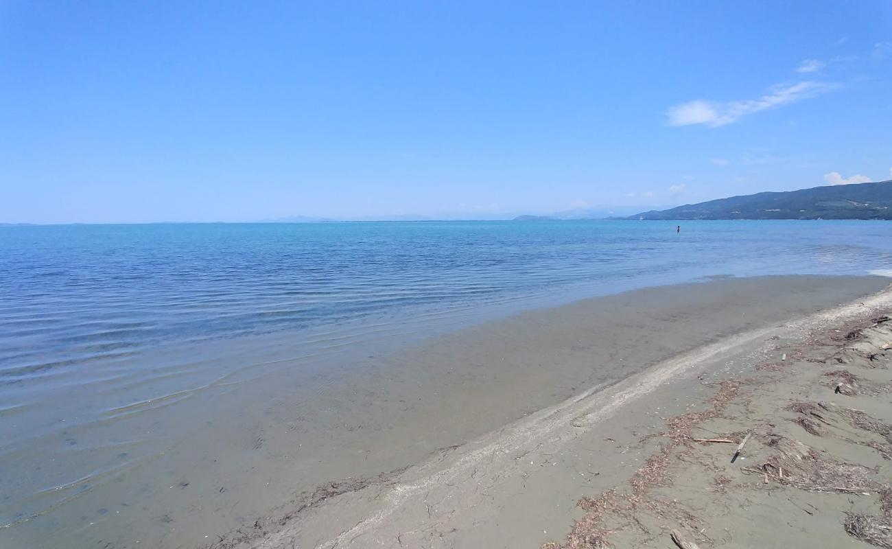 Photo of Spring beach with brown sand surface