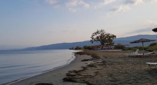 Arapis Beach