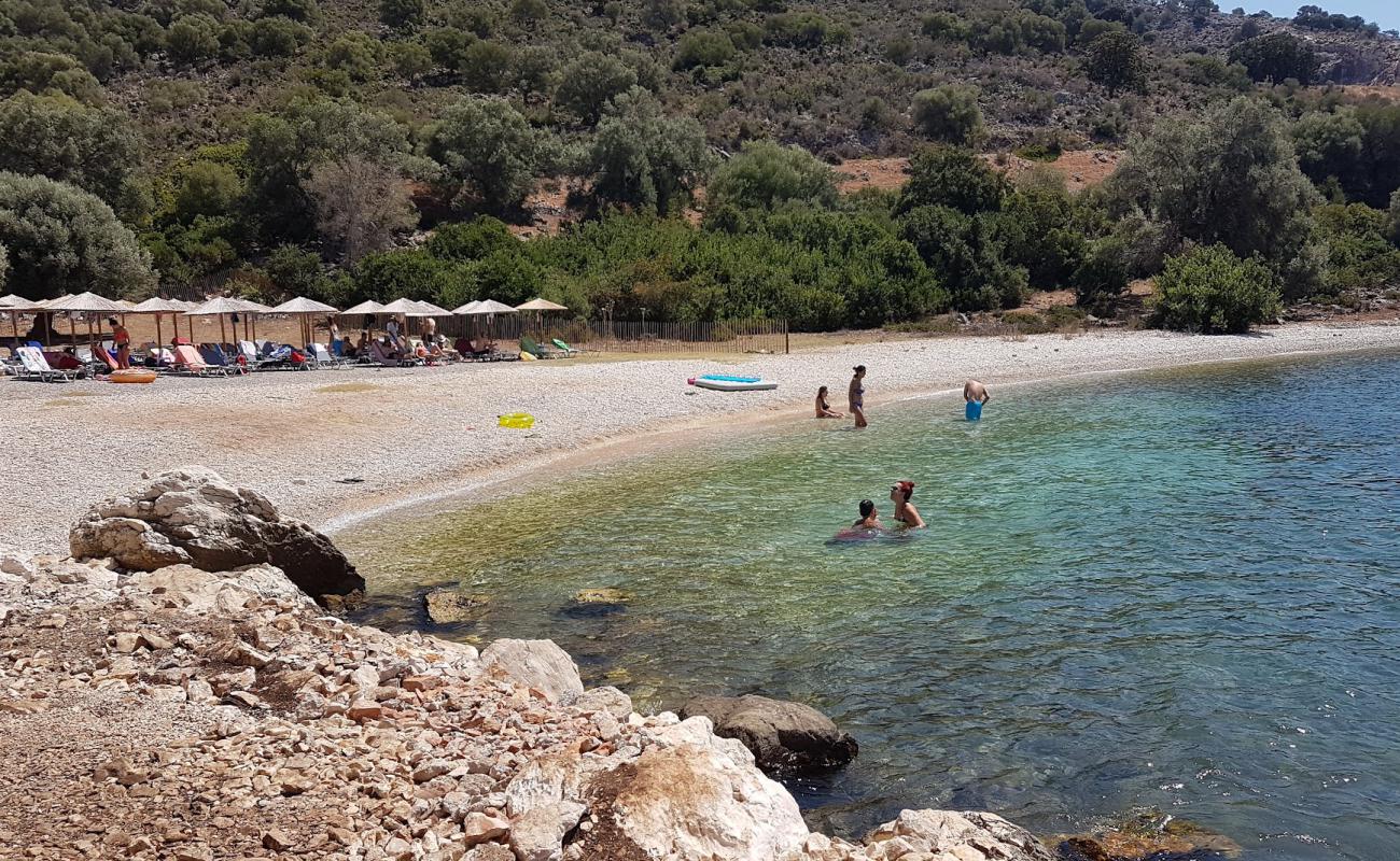 Photo of Vela Beach with light pebble surface