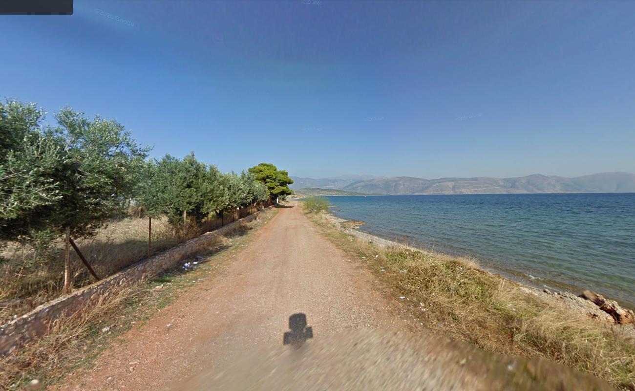 Photo of Ai-Lias Beach with green pure water surface