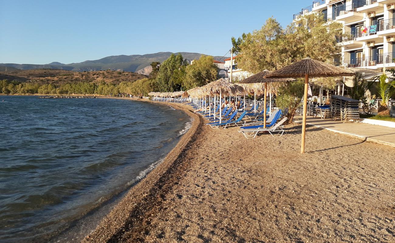 Photo of Itea beach with gray fine pebble surface