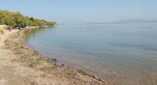 Plaka dilesi beach