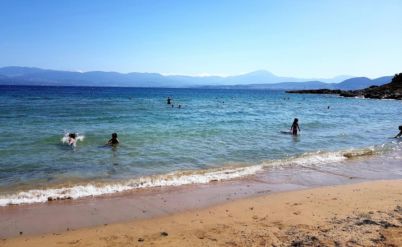 Photo of Drossia beach with brown sand surface