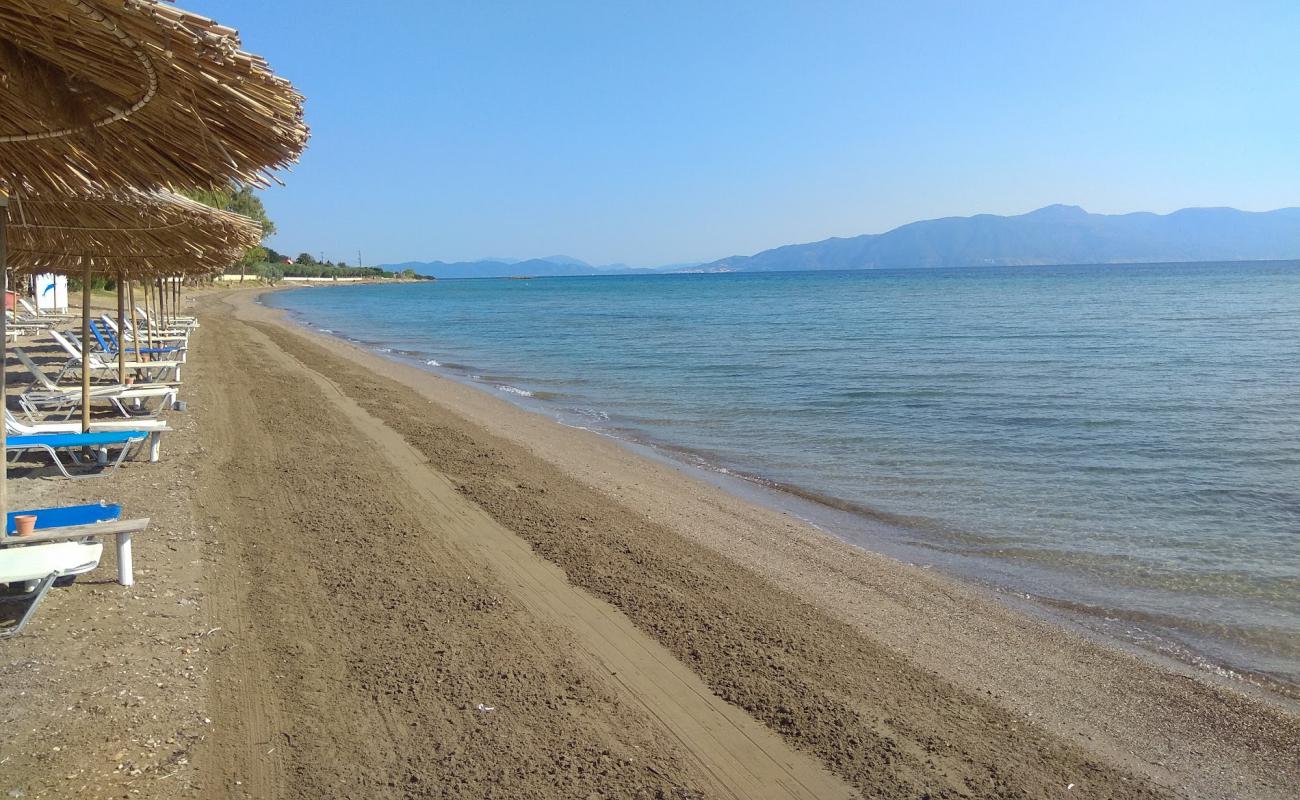 Photo of Livanates beach III with brown sand surface