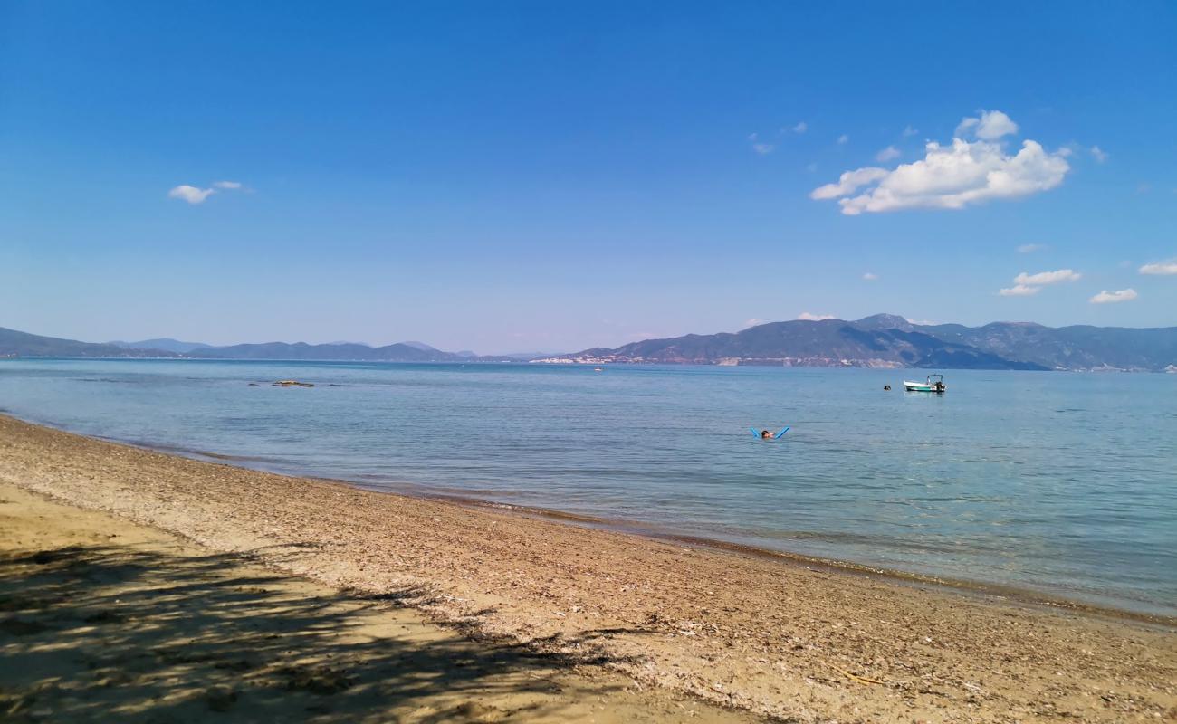 Photo of Kalamia Arkitsa beach with brown sand surface