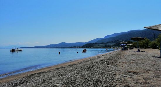 Loggos beach