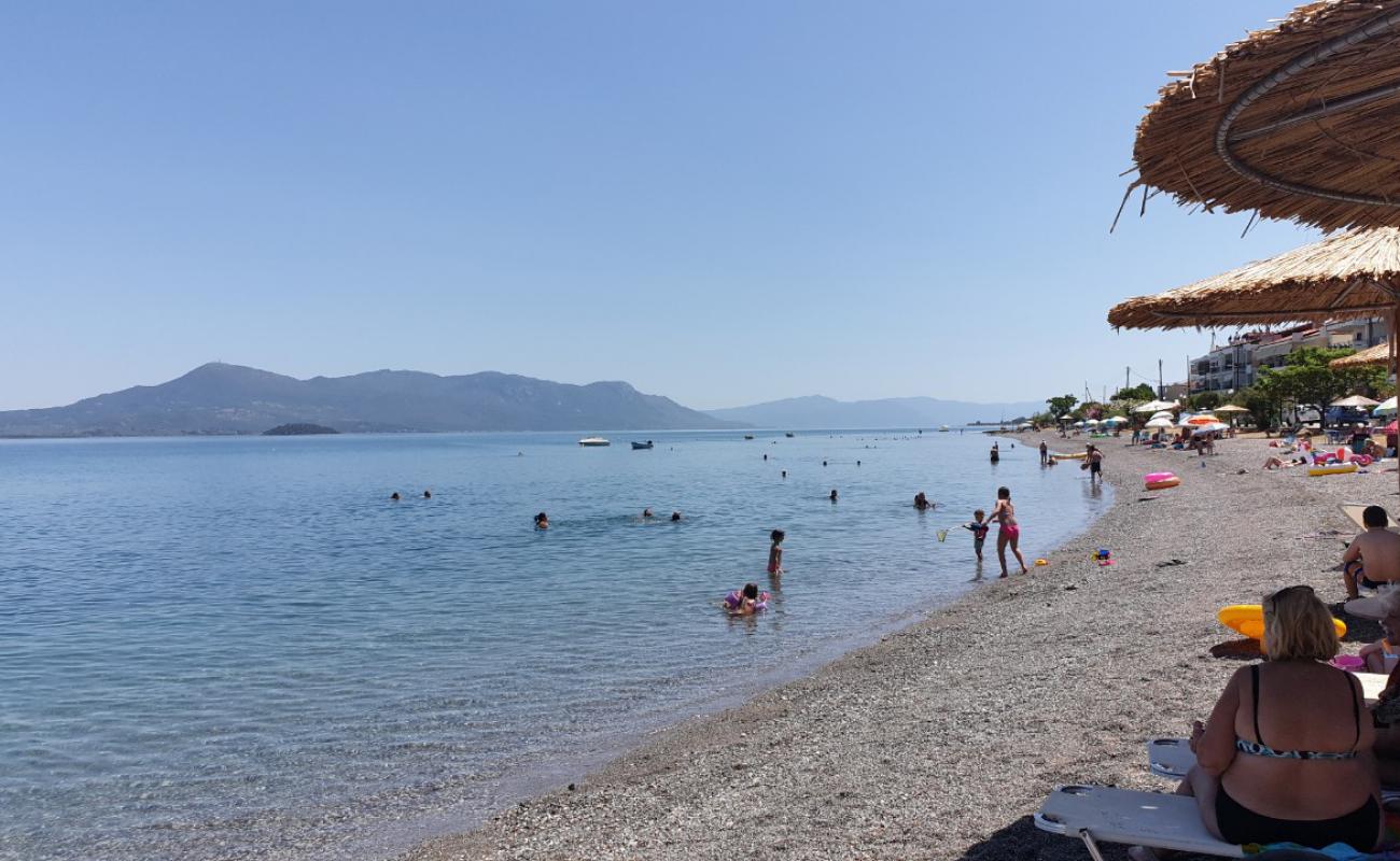 Photo of Pomegranate beach with gray sand &  pebble surface