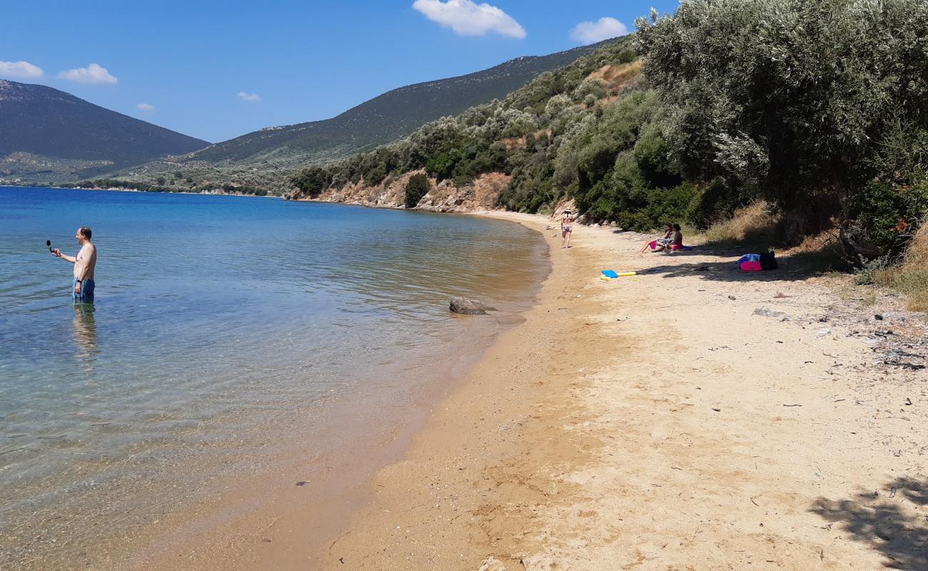 Photo of Ag. Dimitrios 3 beach with bright sand surface