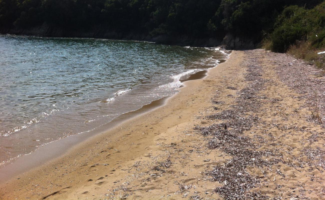 Photo of Karavotsaki beach with bright sand surface