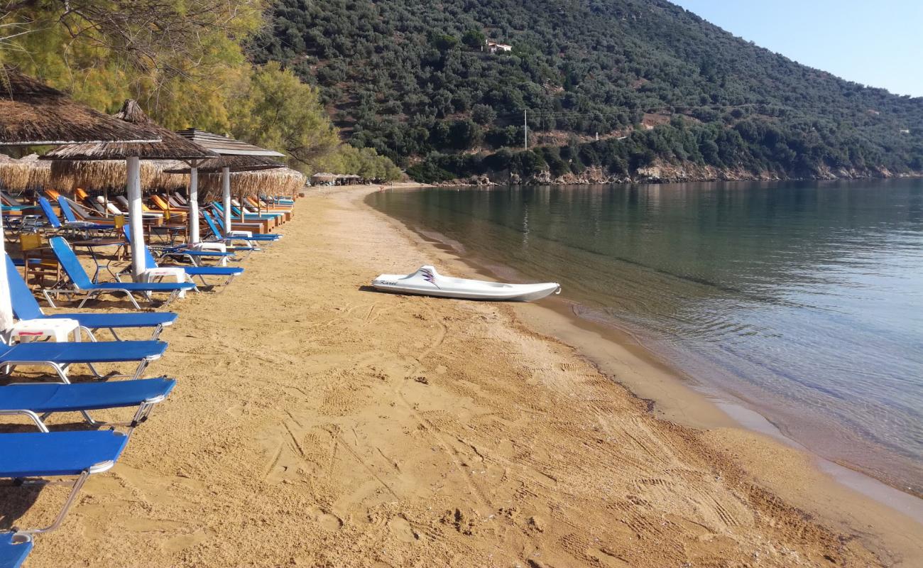 Photo of Lefki beach with bright sand surface