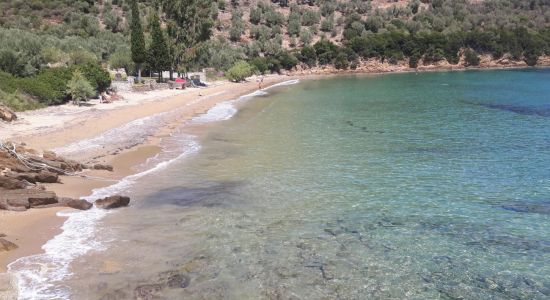 Thick sand beach