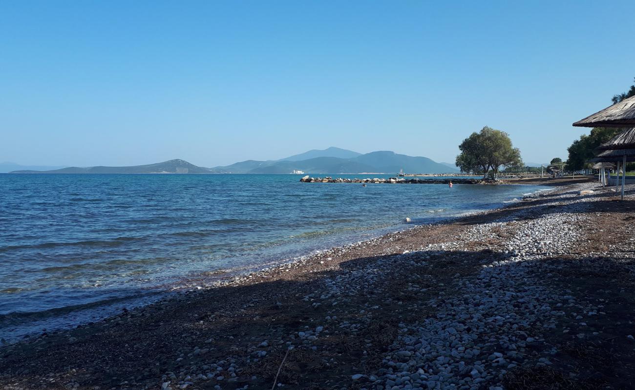 Photo of Almirou beach with brown pebble surface