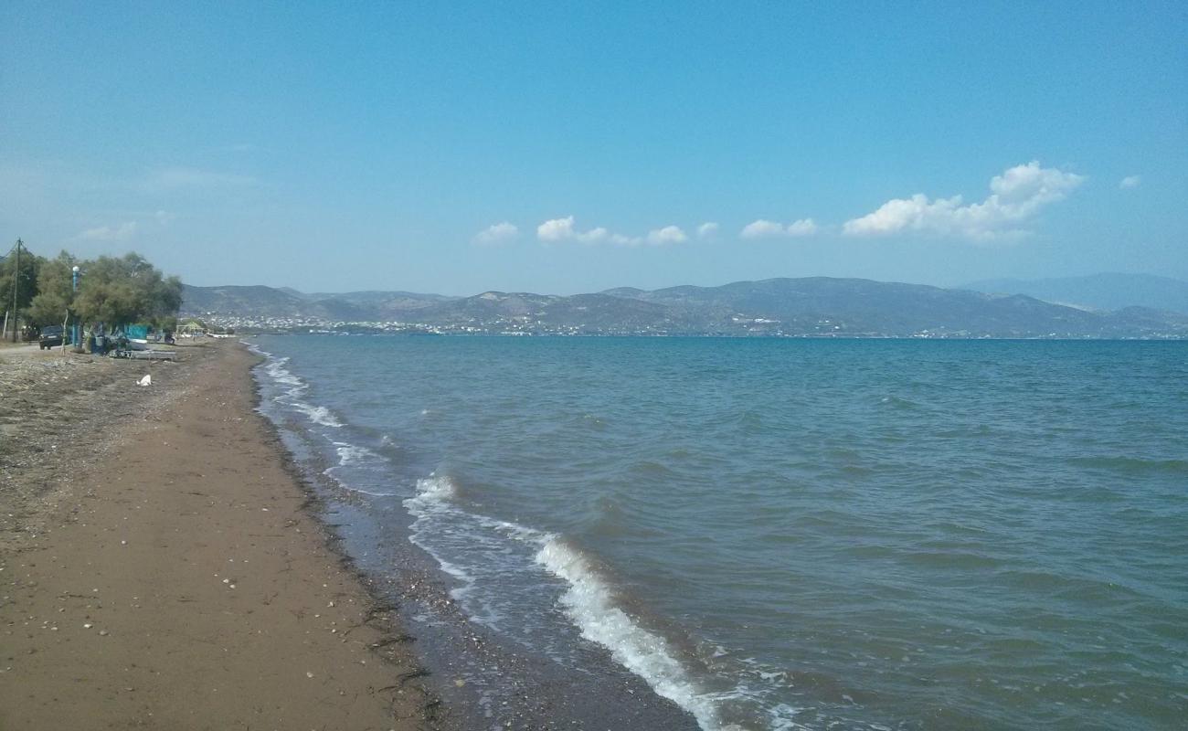 Photo of Dimitriada beach with black sand & pebble surface