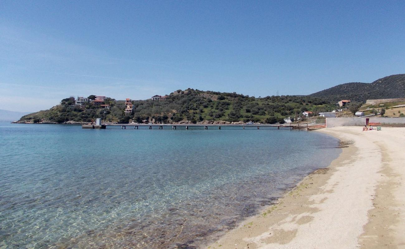 Photo of Ag. Georgios beach with black sand & pebble surface