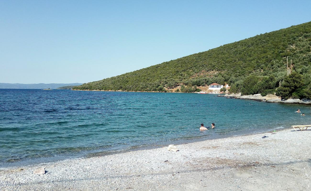 Photo of Alogoporos beach with light pebble surface