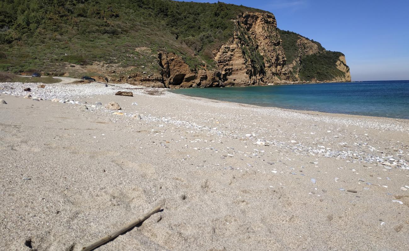 Photo of Theotokos beach with light sand &  pebble surface