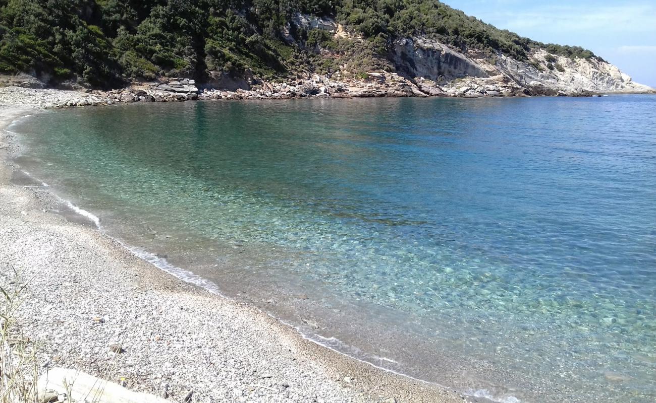 Photo of Ag. Dimitros beach with light pebble surface