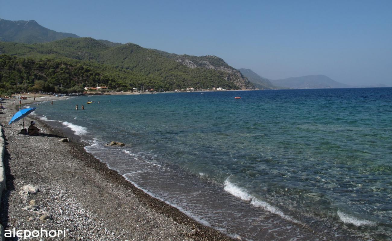 Photo of Alepochori beach II with light sand &  pebble surface