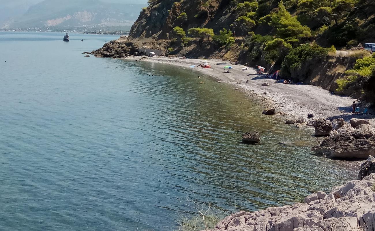 Photo of Alepochori Schinos beach with gray fine pebble surface