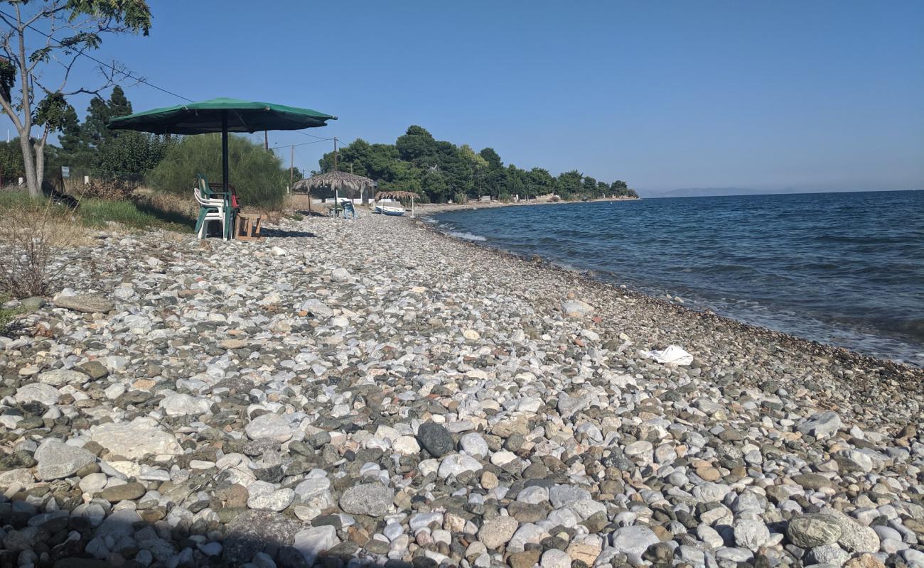 Photo of Agioi Theodoroi 2 beach with brown fine pebble surface