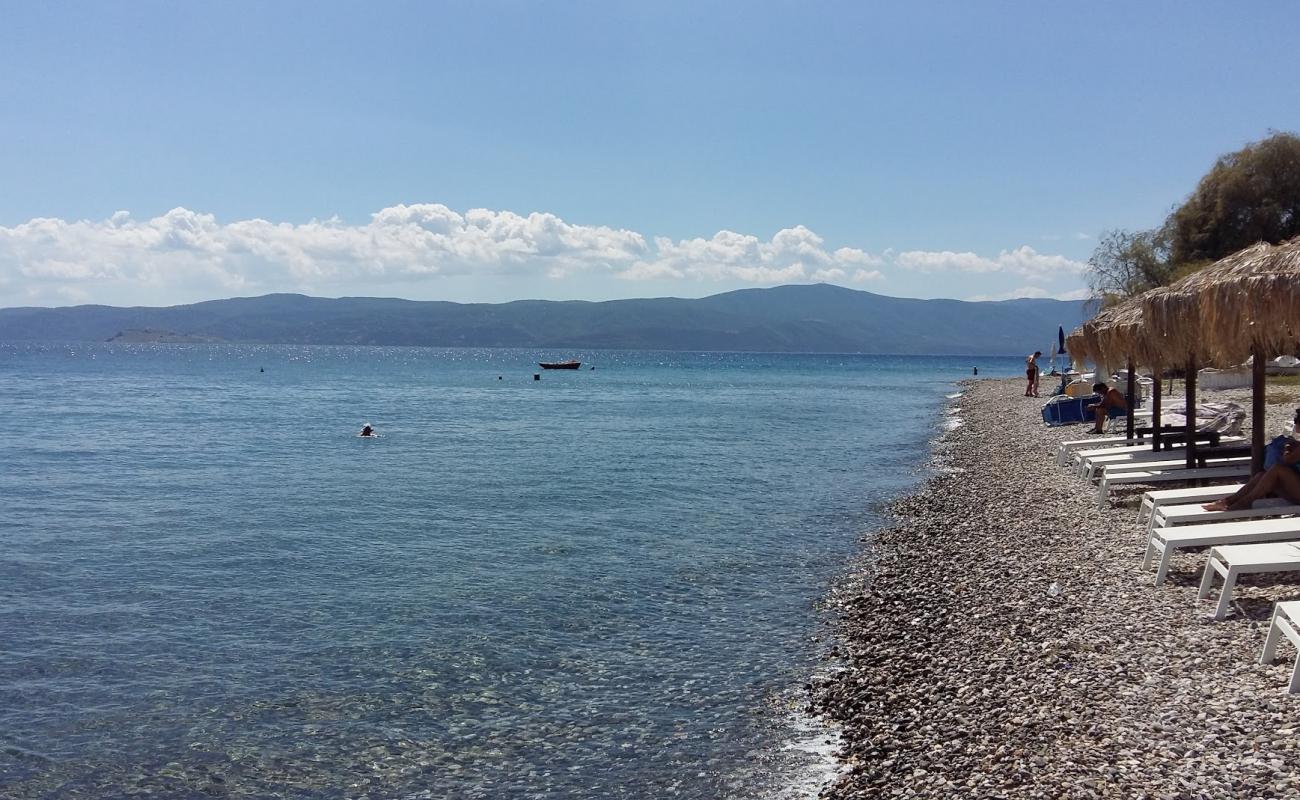 Photo of Agioi Theodoroi beach with gray fine pebble surface