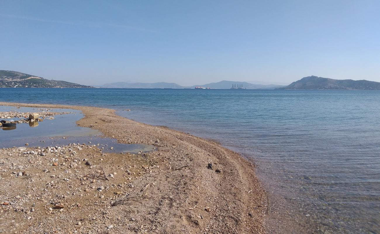 Photo of Riviera beach with brown fine pebble surface