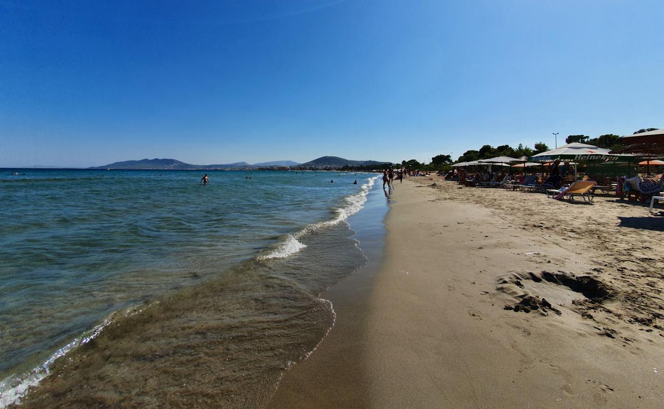 Photo of Artemis beach with bright sand surface