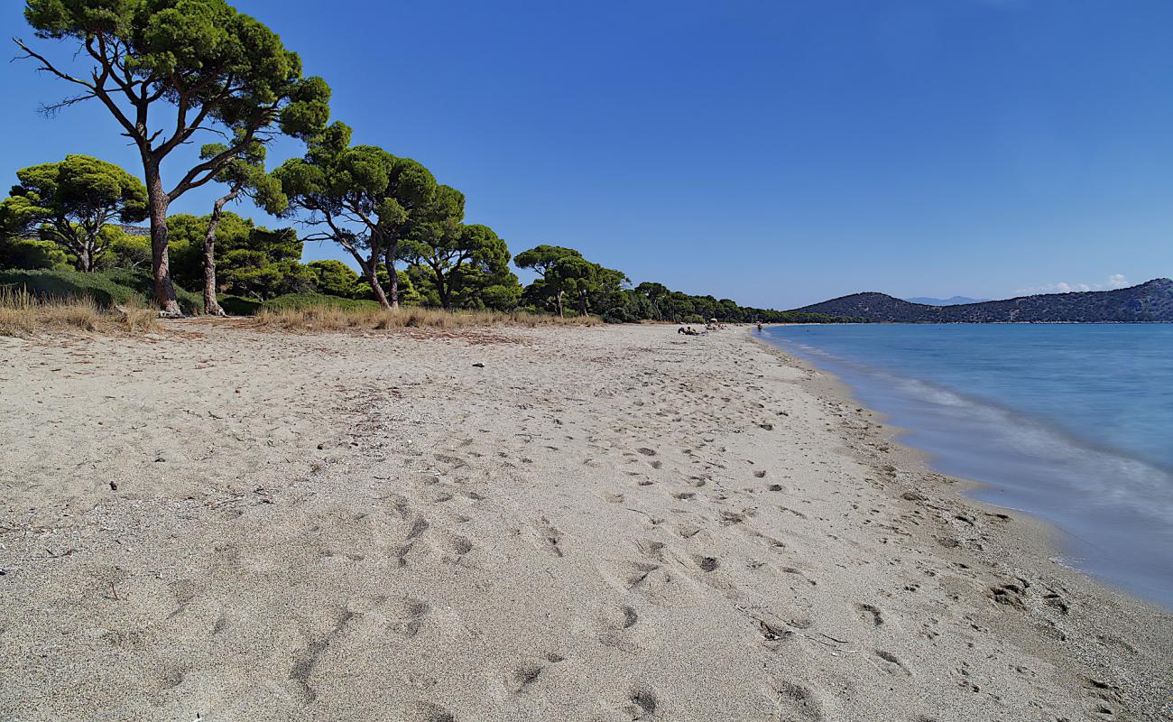 Photo of Schinias Beach with bright sand surface