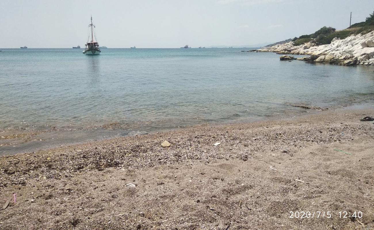 Photo of Paralia Kynosouras with black sand & pebble surface