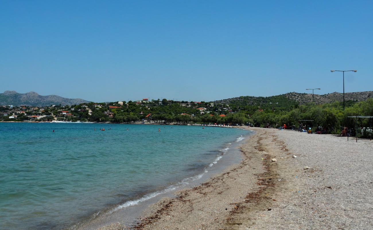 Photo of Paralia Vasilika with light fine pebble surface