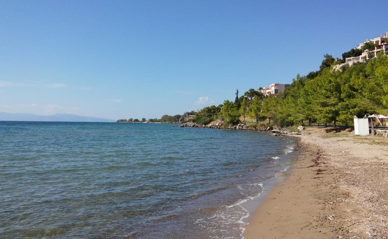 Photo of Paralia Marathona with brown sand surface