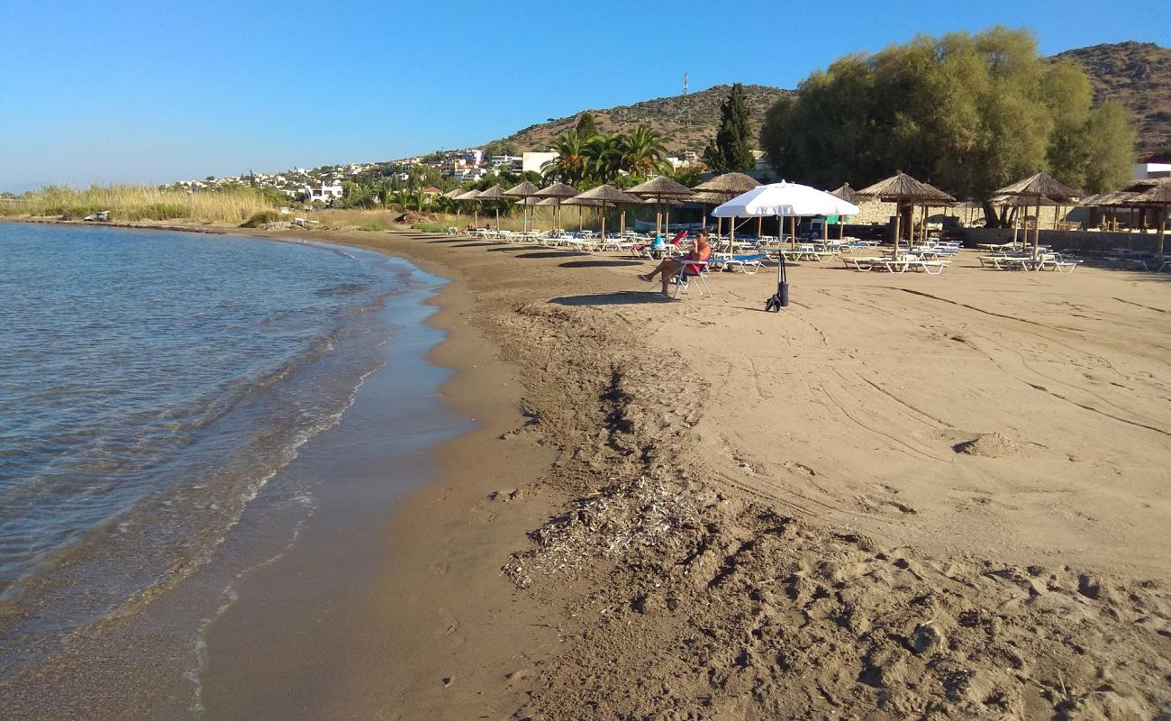 Photo of Paralia Marathona II with brown sand surface