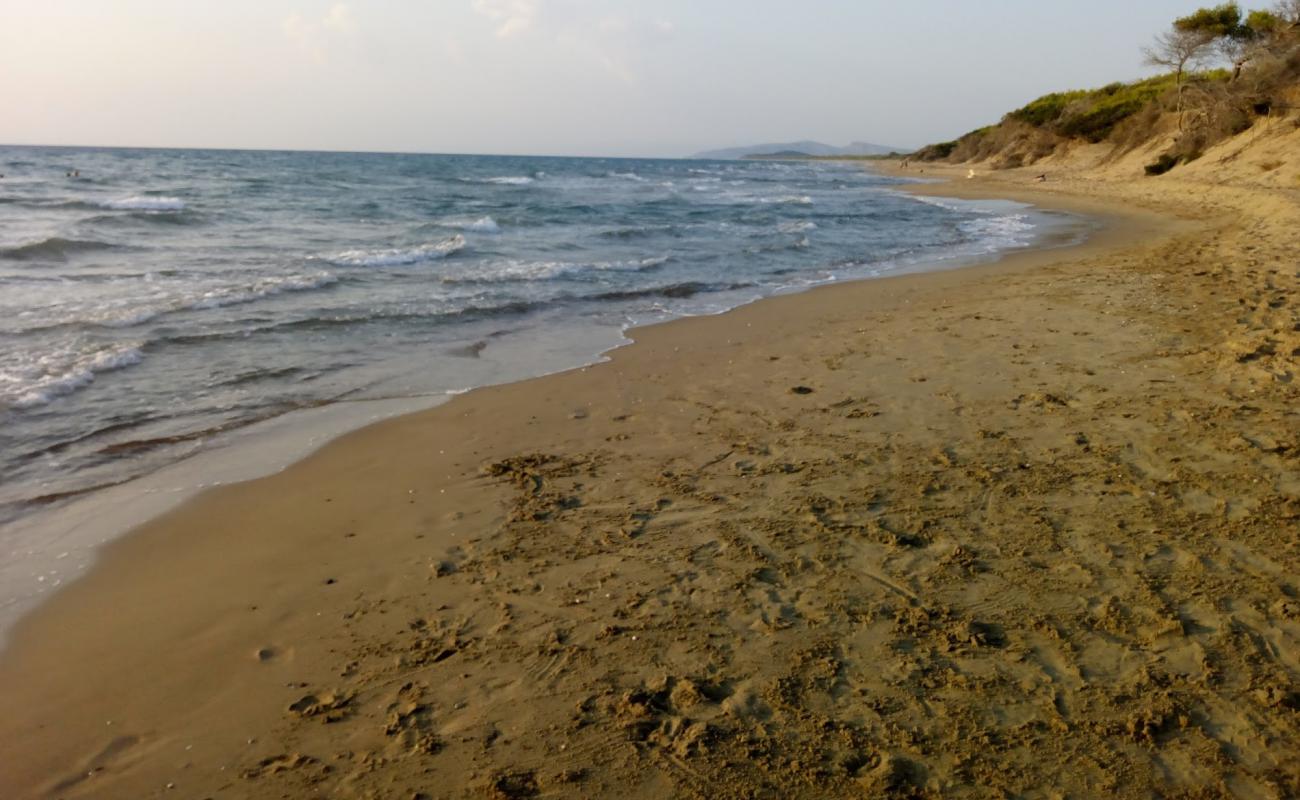 Photo of Falari beach with bright sand surface