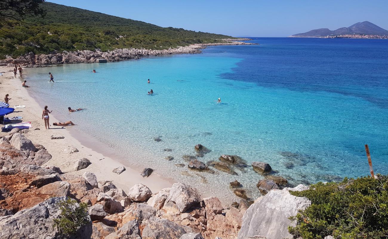 Photo of Ammos beach with gray sand surface