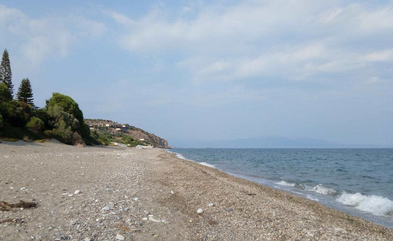 Photo of Selinitsa beach with gray sand surface