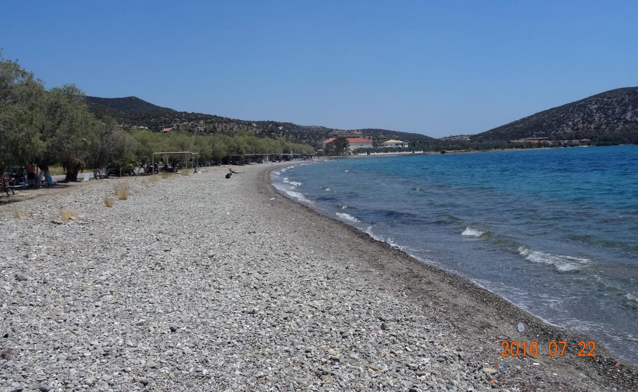 Photo of Dardiza beach with light sand &  pebble surface