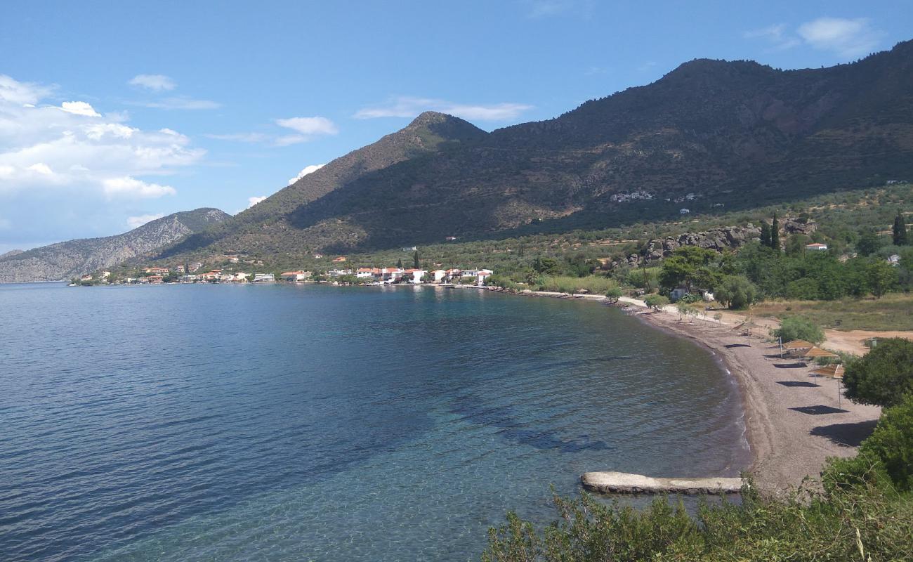 Photo of Almyra beach with light pebble surface