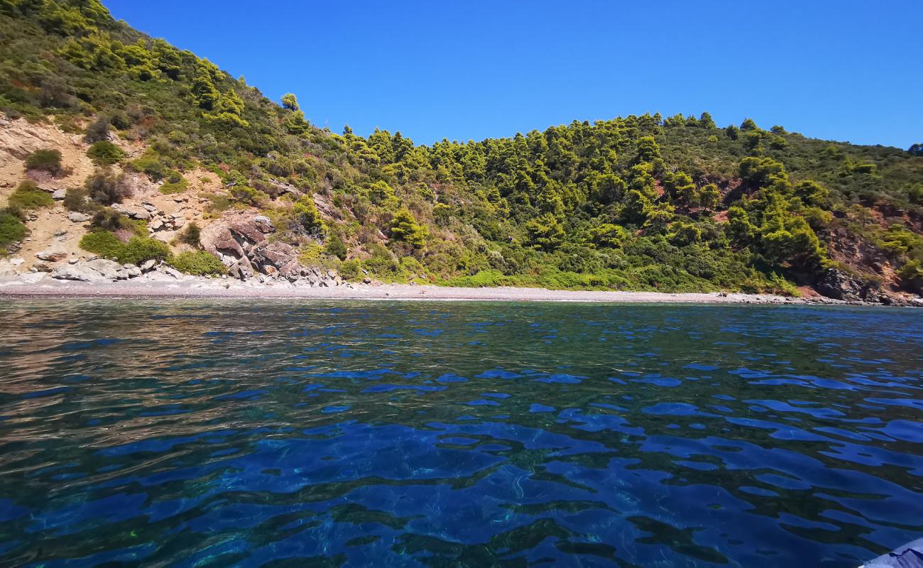 Photo of Wild Boar bay with light pebble surface