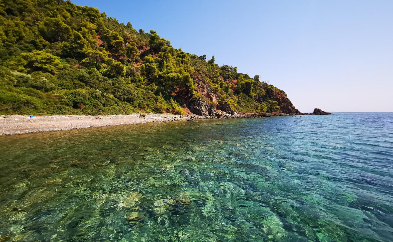 Photo of Anchor Bay with light pebble surface