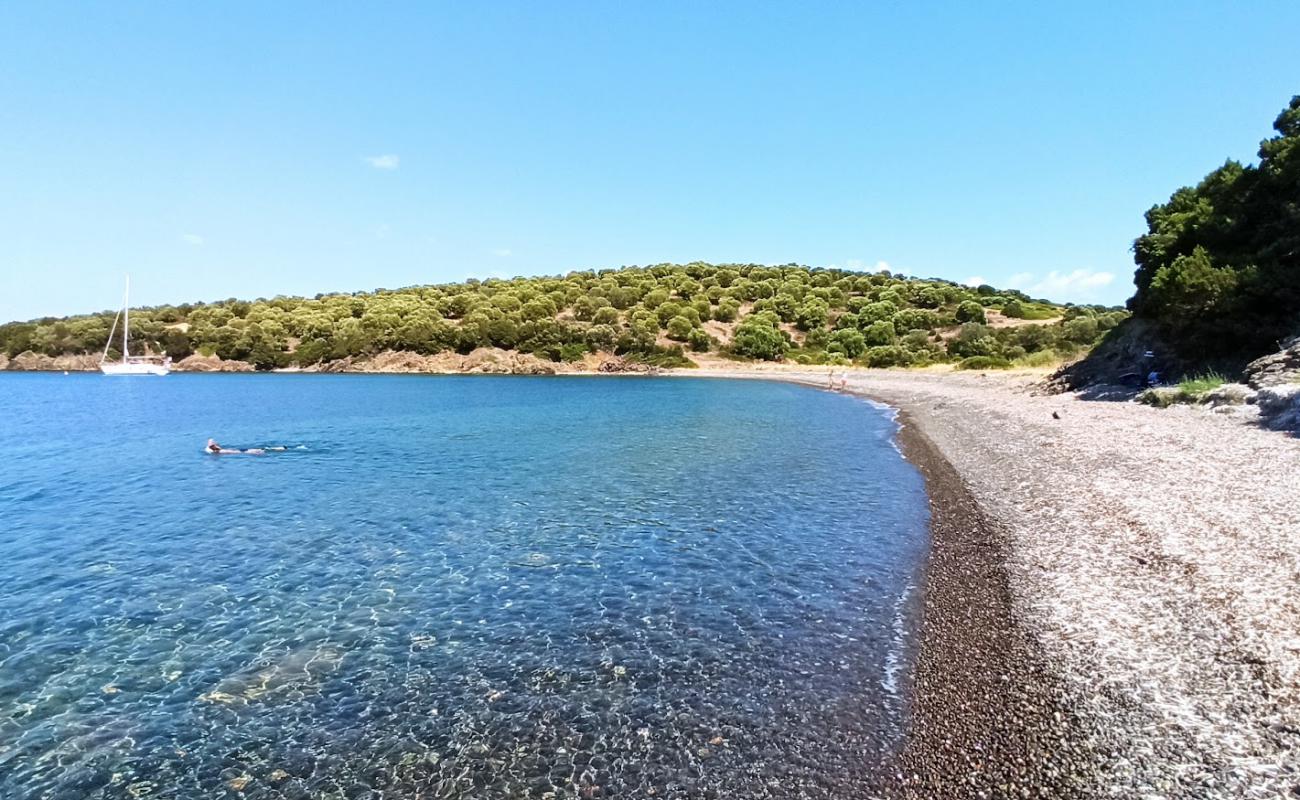 Photo of Ilia's Bay with light pebble surface