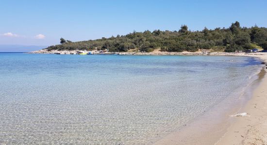 Paliouri beach