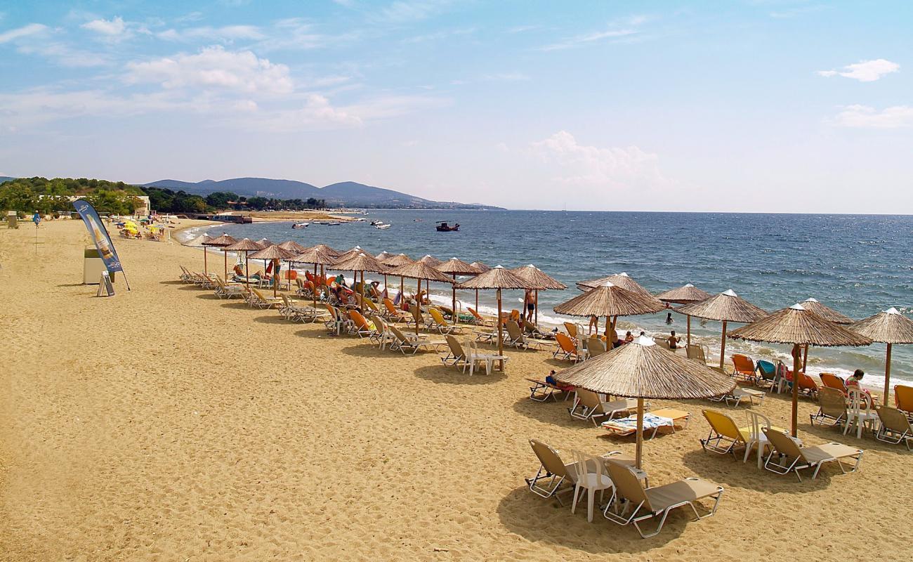 Photo of Coral Blue beach with bright sand surface