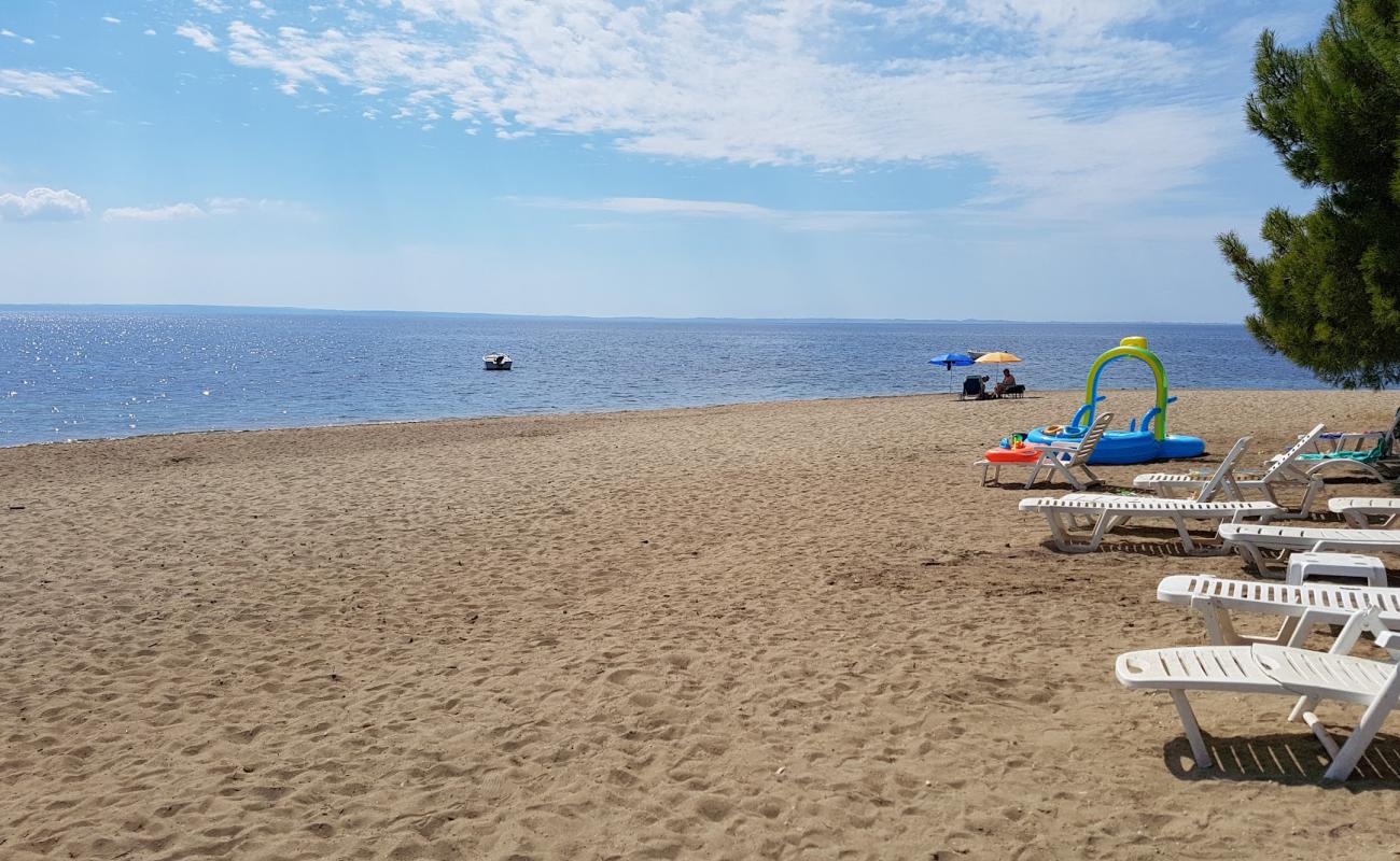 Photo of Psakudia beach with gray sand surface