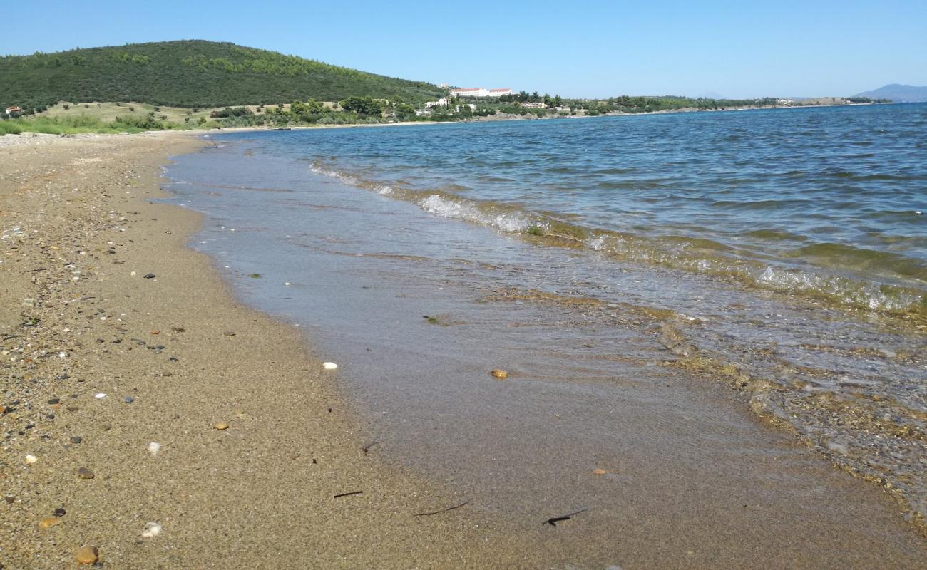 Photo of Vatopedi beach with bright sand surface