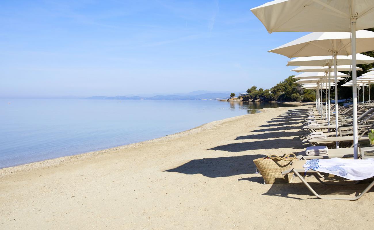 Photo of Elia beach with bright sand surface