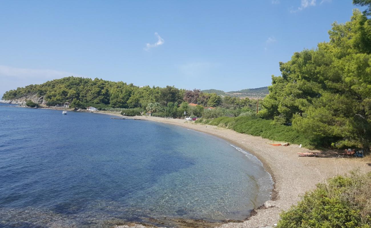 Photo of Koutsoupia beach with light sand &  pebble surface