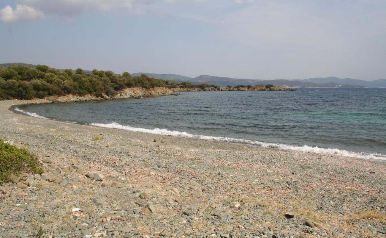 Photo of Diaporti beach II with black sand & pebble surface