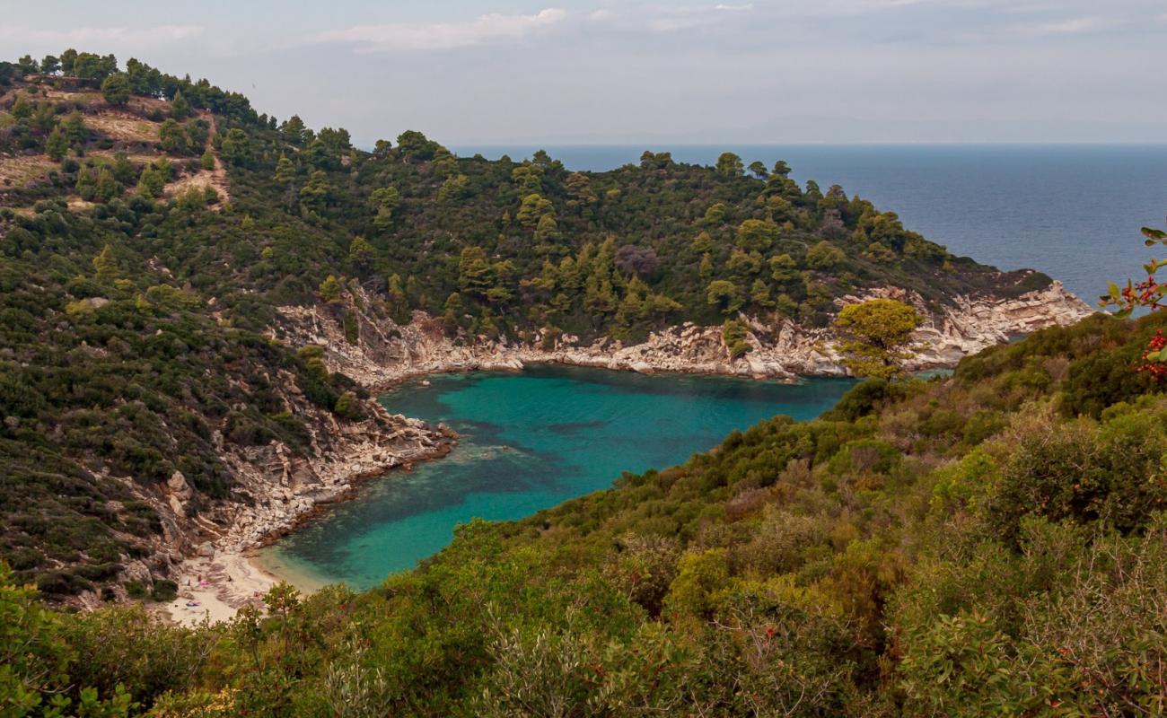 Photo of Sythonia wild beach X with bright sand surface