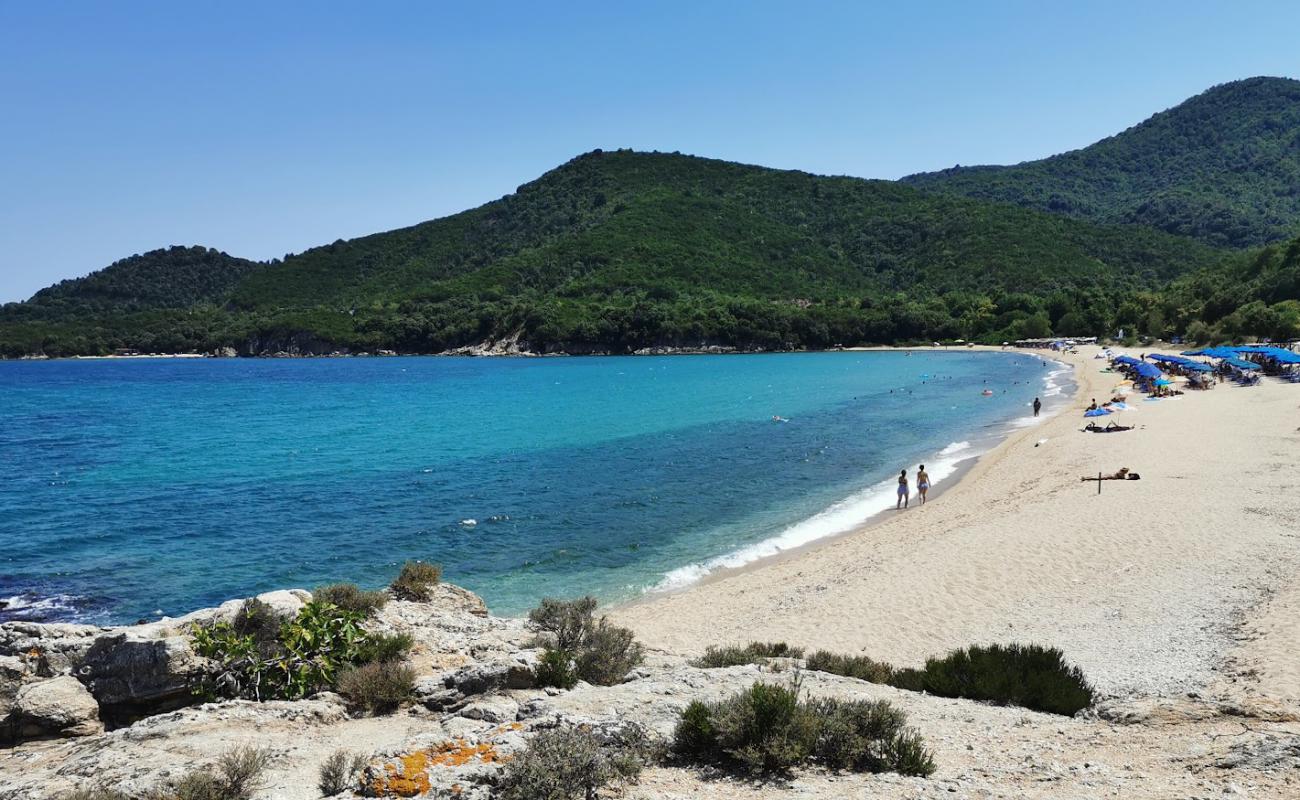 Photo of Vina beach with gray fine sand surface