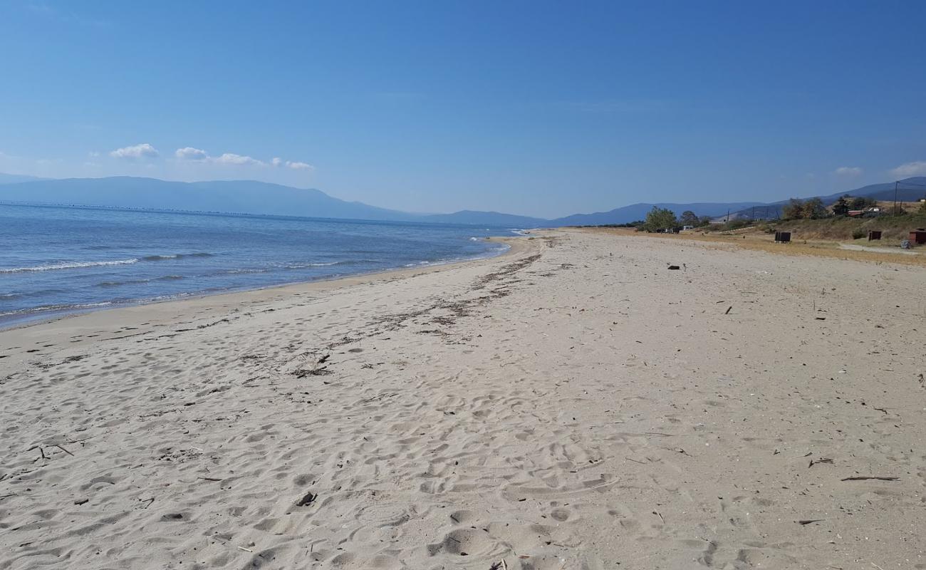 Photo of Sandy Beach with bright sand surface